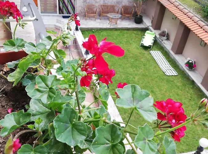 приятелската къща Velingrad